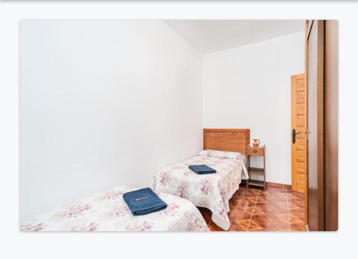 Casa Loli Daire Conil De La Frontera Dış mekan fotoğraf