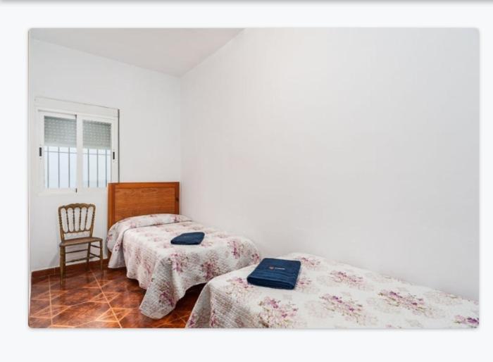Casa Loli Daire Conil De La Frontera Dış mekan fotoğraf